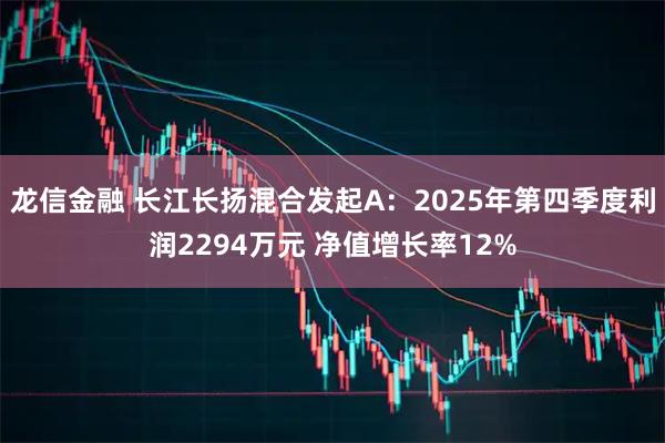 龙信金融 长江长扬混合发起A：2025年第四季度利润2294万元 净值增长率12%